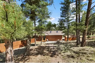234 Wasatch Lane, Florissant, CO 80816 - Photo 39