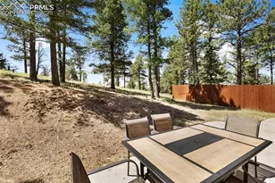 234 Wasatch Ln, Florissant, CO 80816 - Photo 27