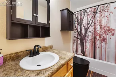 234 Wasatch Lane, Florissant, CO 80816 - Photo 23