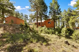 234 Wasatch Ln, Florissant, CO 80816 - Photo 5