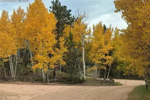 234 Wasatch Ln, Florissant, CO 80816 - Photo 41