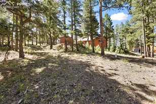 234 Wasatch Ln, Florissant, CO 80816 - Photo 27