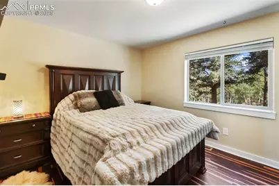 234 Wasatch Lane, Florissant, CO 80816 - Photo 19