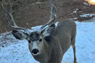 234 Wasatch Ln, Florissant, CO 80816 - Photo 7