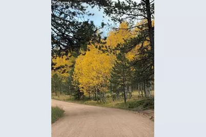 234 Wasatch Lane, Florissant, CO 80816 - Photo 43