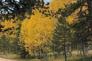 234 Wasatch Ln, Florissant, CO 80816 - Photo 43