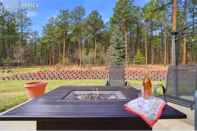 18180 Canterbury Drive, Monument, CO 80132 - Photo 47