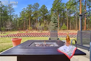 18180 Canterbury Dr, Monument, CO 80132 - Photo 47