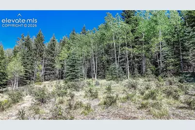 1444 Anges Drive, Cripple Creek, CO 80813 - Photo 11