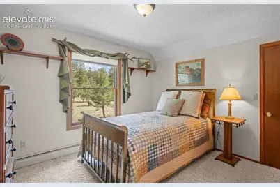 370 High View Circle, Woodland Park, CO 80863 - Photo 23
