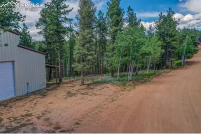 449 Woody Creek Road, Florissant, CO 80816 - Photo 19