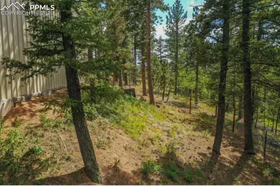 449 Woody Creek Road, Florissant, CO 80816 - Photo 13