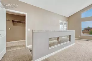 290 Lariat Ln, Colorado Springs, CO 80921 - Photo 29