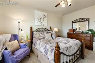 4338 Alder Springs View, Colorado Springs, CO 80922 - Photo 17