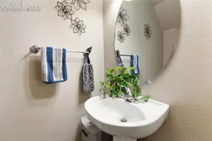 4338 Alder Springs View, Colorado Springs, CO 80922 - Photo 15