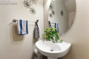 4338 Alder Springs View, Colorado Springs, CO 80922 - Photo 15