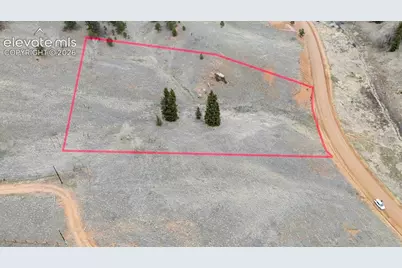 175 Twin Lakes Drive, Divide, CO 80814 - Photo 7