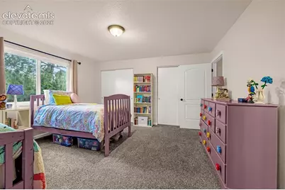 30 Palm Springs Drive, Colorado Springs, CO 80921 - Photo 33