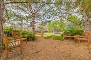 30 Palm Springs Dr, Colorado Springs, CO 80921 - Photo 43