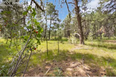 10930 Elizabeth Way, Colorado Springs, CO 80908 - Photo 13