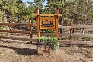 738 Rangeview Rd, Divide, CO 80814 - Photo 45