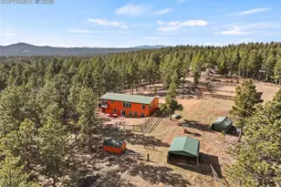 738 Rangeview Rd, Divide, CO 80814 - Photo 39