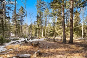 219 Pennsylvania Ave, Woodland Park, CO 80863 - Photo 29