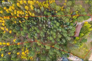 219 Pennsylvania Ave, Woodland Park, CO 80863 - Photo 3