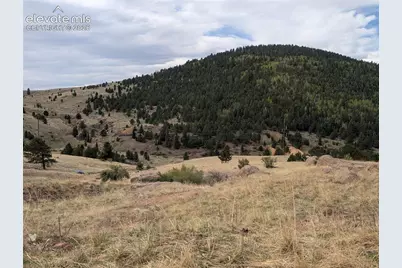 613 S 3rd Street, Victor, CO 80860 - Photo 9