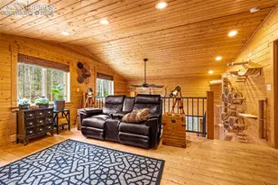325 Willow Rd, Divide, CO 80814 - Photo 17