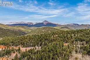 325 Willow Rd, Divide, CO 80814 - Photo 31