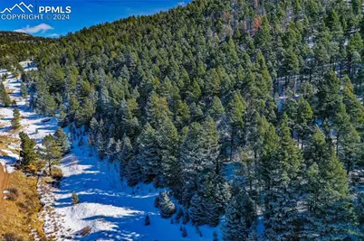 278 Penrose Circle, Cripple Creek, CO 80816 - Photo 29