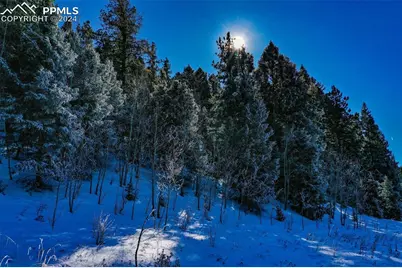 278 Penrose Circle, Cripple Creek, CO 80816 - Photo 37