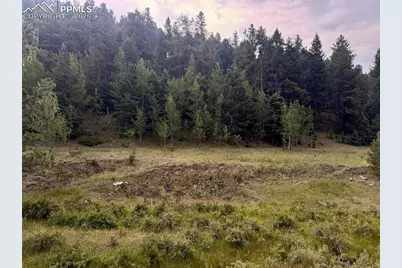 278 Penrose Circle, Cripple Creek, CO 80816 - Photo 3