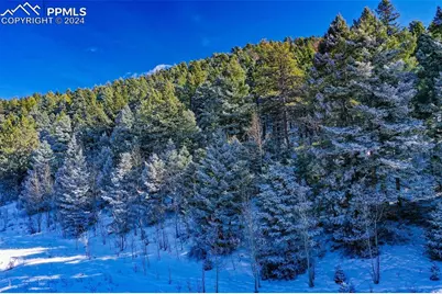 278 Penrose Circle, Cripple Creek, CO 80816 - Photo 33