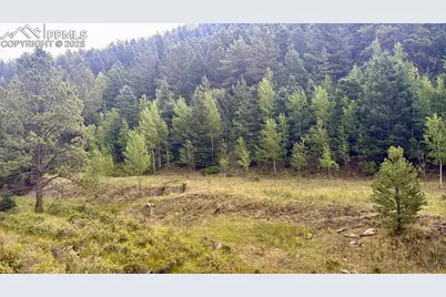 278 Penrose Circle, Cripple Creek, CO 80816 - Photo 5