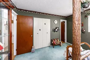 2527 E Caramillo St, Colorado Springs, CO 80909 - Photo 23