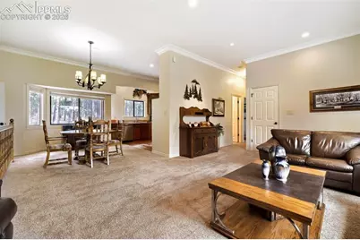 16265 Roller Coaster Road, Colorado Springs, CO 80921 - Photo 7
