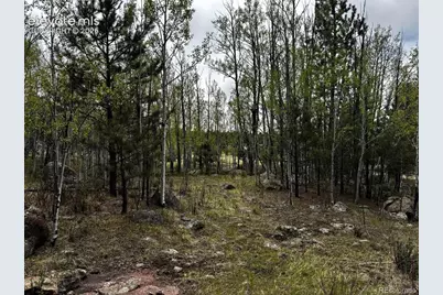 210 Crescent Drive, Florissant, CO 80816 - Photo 3