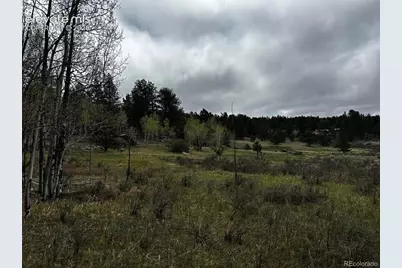 210 Crescent Drive, Florissant, CO 80816 - Photo 9