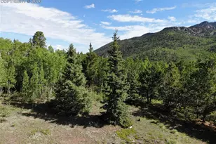 12775 S Hwy 67, Cripple Creek, CO 80813 - Photo 1