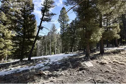 278 Cherry Lake Drive, Divide, CO 80814 - Photo 5