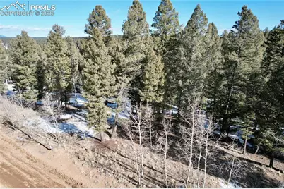 278 Cherry Lake Drive, Divide, CO 80814 - Photo 7