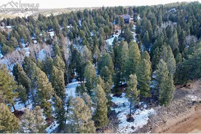 278 Cherry Lake Drive, Divide, CO 80814 - Photo 9