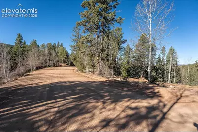 565 Fairview Drive, Cripple Creek, CO 80813 - Photo 3