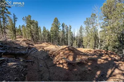 565 Fairview Drive, Cripple Creek, CO 80813 - Photo 7