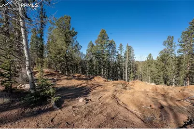 565 Fairview Drive, Cripple Creek, CO 80813 - Photo 5