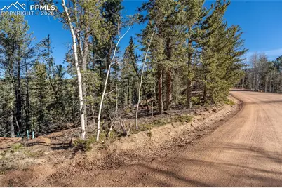 565 Fairview Drive, Cripple Creek, CO 80813 - Photo 3