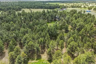 18440 Black Squirrel Rd, Colorado Springs, CO 80908 - Photo 45