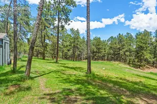 18440 Black Squirrel Rd, Colorado Springs, CO 80908 - Photo 39